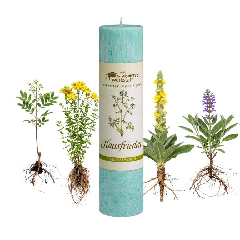 Allgäuer Heilkräuterkerze zum Thema Hausfrieden in unserem Kerzen Online Shop kaufen. Als Geschenk für Sie oder Ihn. 100% Vegane Kerze. Hergestellt aus Olivenöl.