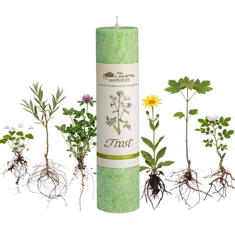 Allgäuer Heilkräuterkerze zum Thema Trost in unserem Kerzen Online Shop kaufen. Als Geschenk für Sie oder Ihn. 100% Vegane Kerze. Hergestellt aus Olivenöl.