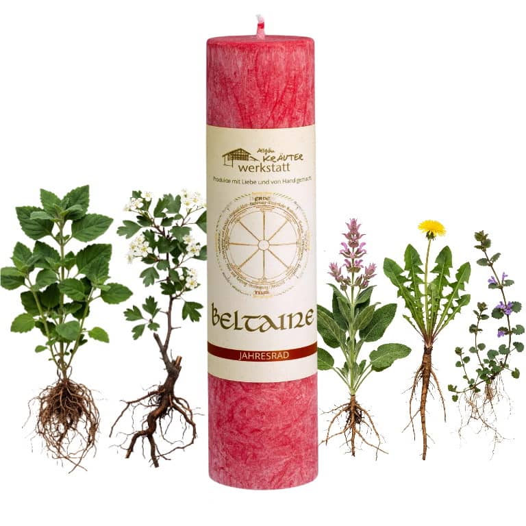 Allgäuer Heilkräuterkerze zum Thema Beltaine in unserem Kerzen Online Shop kaufen. Als Geschenk für Sie oder Ihn. 100% Vegane Kerze. Hergestellt aus Olivenöl.