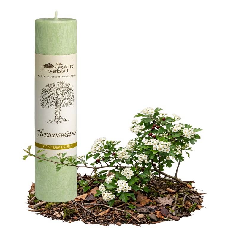 Allgäuer Heilkräuterkerze zum Thema Herzenswärme in unserem Kerzen Online Shop kaufen. Als Geschenk für Sie oder Ihn. 100% Vegane Kerze. Hergestellt aus Olivenöl.