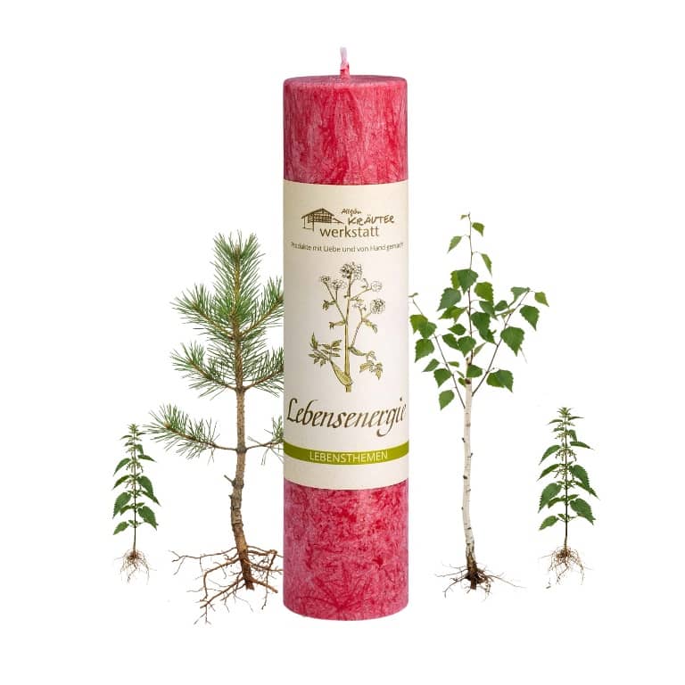 Allgäuer Heilkräuterkerze zum Thema Lebensenergie in unserem Kerzen Online Shop kaufen. Als Geschenk für Sie oder Ihn. 100% Vegane Kerze. Hergestellt aus Olivenöl.