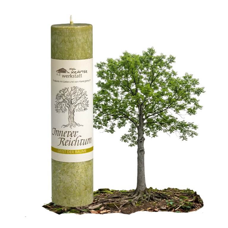 Allgäuer Heilkräuterkerze zum Thema Innerer Reichtum in unserem Kerzen Online Shop kaufen. Als Geschenk für Sie oder Ihn. 100% Vegane Kerze. Hergestellt aus Olivenöl.