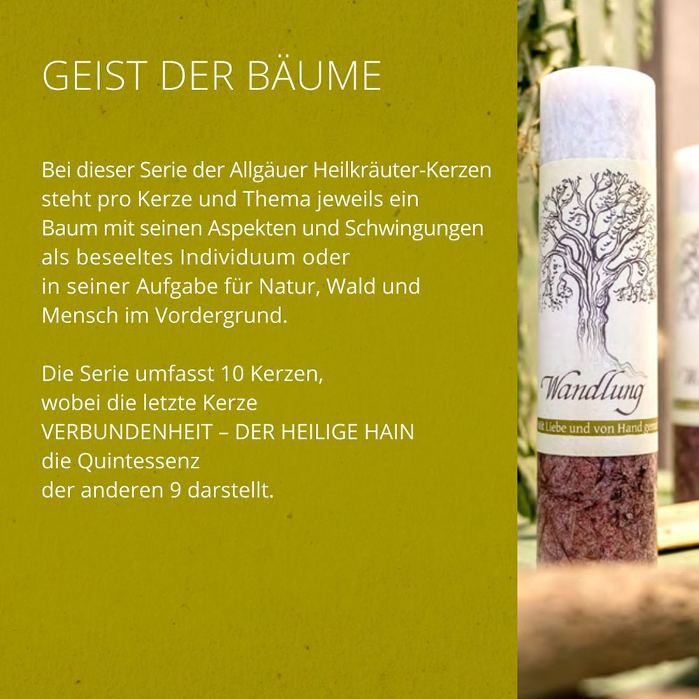 Allgäuer Kräuterkerze Geist der Bäume. Hochwertige Kerzen mit langer Brenndauer in unserem Online Shop kaufen.