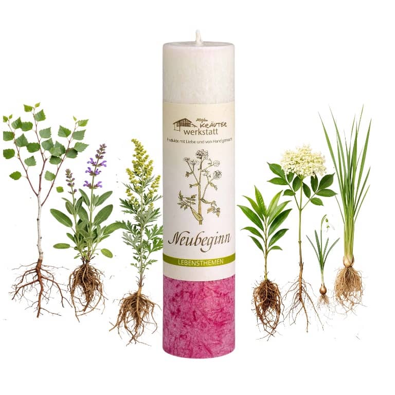 Allgäuer Heilkräuterkerze zum Thema Neubeginn in unserem Kerzen Online Shop kaufen. Als Geschenk für Sie oder Ihn. 100% Vegane Kerze. Hergestellt aus Olivenöl.