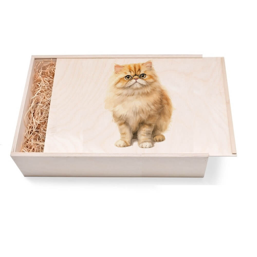 "Katze 5 - Exotic Shorthair" Geschenkbox groß aus Holz mit verzierten Deckel. Jetzt in unserem Geschenke Onlineshop kaufen.