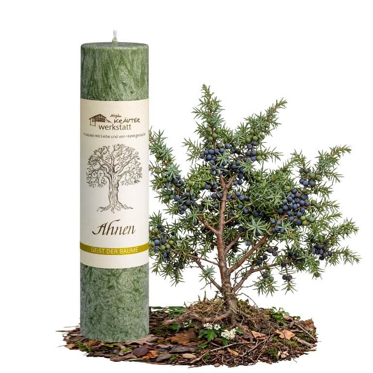 Allgäuer Heilkräuterkerze zum Thema Ahnen in unserem Kerzen Online Shop kaufen. Als Geschenk für Sie oder Ihn. 100% Vegane Kerze. Hergestellt aus Olivenöl.