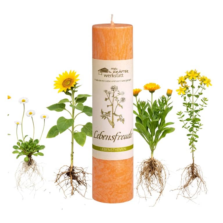 Allgäuer Heilkräuterkerze zum Thema Lebensfreude in unserem Kerzen Online Shop kaufen. Als Geschenk für Sie oder Ihn. 100% Vegane Kerze. Hergestellt aus Olivenöl.