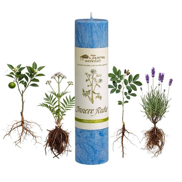 Allgäuer Heilkräuterkerze zum Thema Innere Ruhe in unserem Kerzen Online Shop kaufen. Als Geschenk für Sie oder Ihn. 100% Vegane Kerze. Hergestellt aus Olivenöl.
