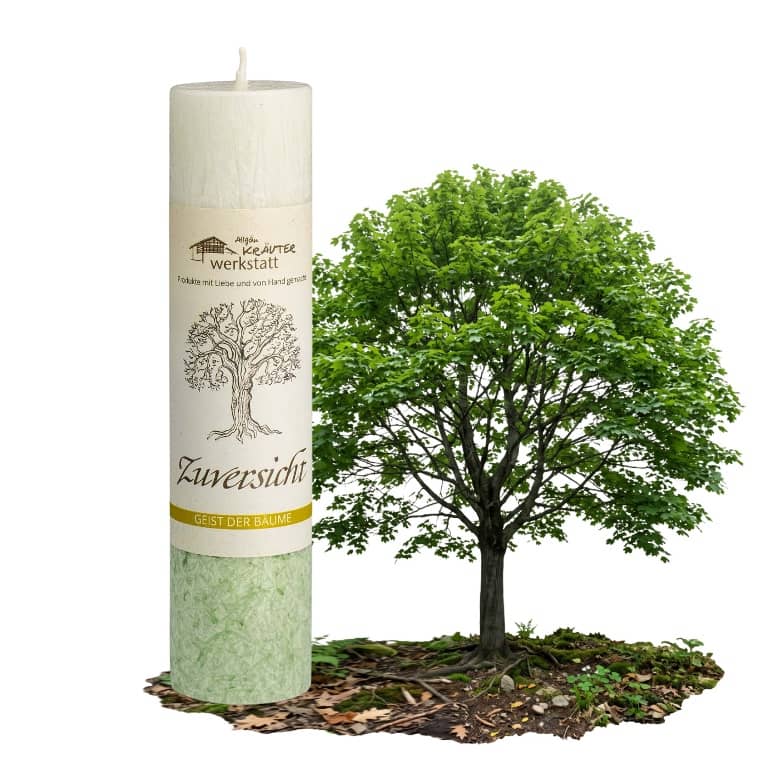 Allgäuer Heilkräuterkerze zum Thema Zuversicht in unserem Kerzen Online Shop kaufen. Als Geschenk für Sie oder Ihn. 100% Vegane Kerze. Hergestellt aus Olivenöl.