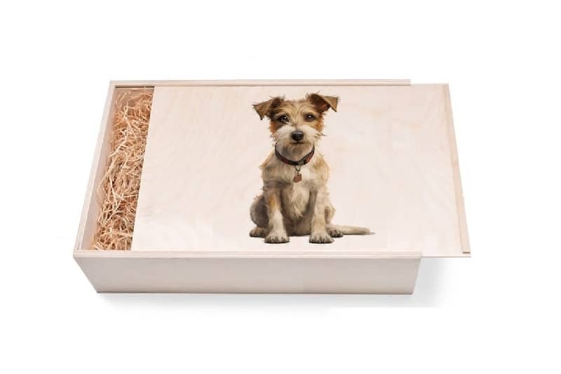 Geschenkbox aus Holz zur Hochzeit mit Hochzeitsmotive. Geschenkbox aus Holz zur Hochzeit mit Hochzeitsmotive. Geschenkbox günstig in unserem Onlineshop kaufen. Personalisierte Geschenke online kaufen