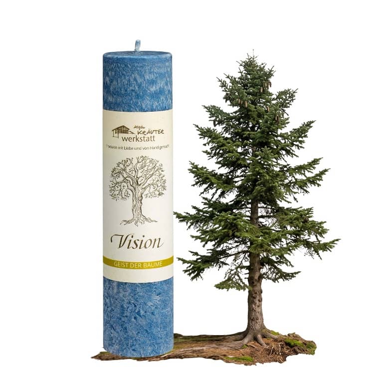 Allgäuer Heilkräuterkerze zum Thema Vision in unserem Kerzen Online Shop kaufen. Als Geschenk für Sie oder Ihn. 100% Vegane Kerze. Hergestellt aus Olivenöl.