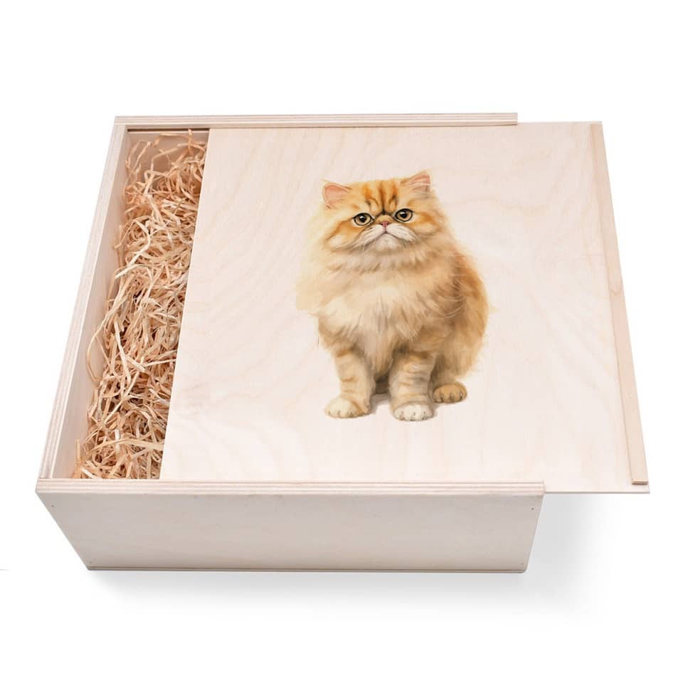Katzen Geschenkbox groß aus Holz mit verzierten Deckel. Jetzt in unserem Geschenke Onlineshop kaufen.