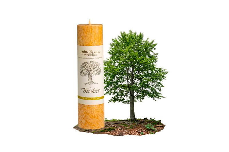 Allgäuer Heilkräuterkerze Lebensthemen. Weissheit. Als Geschenk für Sie oder Ihn. 100% Vegane Kerze. Hergestellt aus Olivenöl. Jetzt in unserem Kerzen Onlineshop kaufen.
