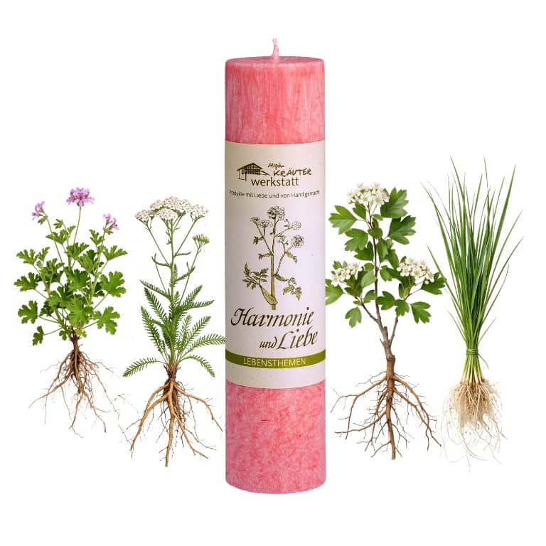 Allgäuer Heilkräuterkerze zum Thema Harmonie & Liebe in unserem Kerzen Online Shop kaufen. Als Geschenk für Sie oder Ihn. 100% Vegane Kerze. Hergestellt aus Olivenöl.
