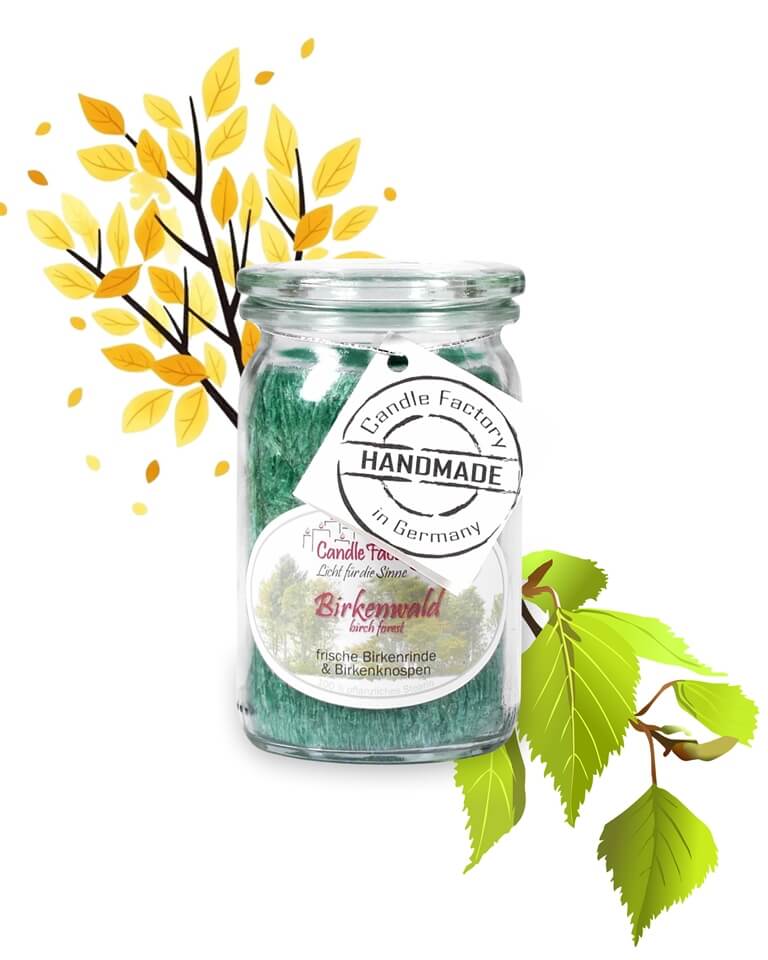 Birkenwald - Baby Jumbo Duftkerze im Glas von Candle Factory