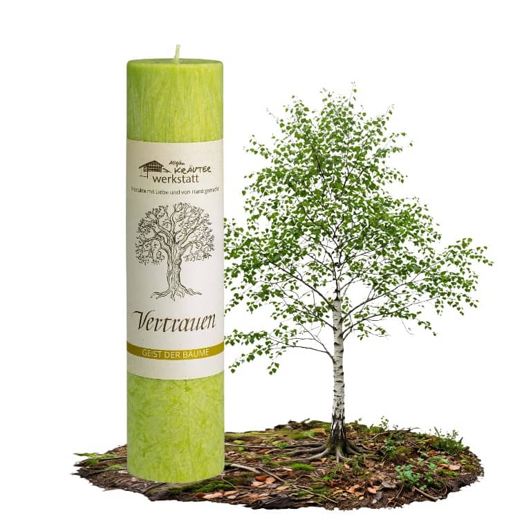 Allgäuer Heilkräuterkerze zum Thema Vertrauen in unserem Kerzen Online Shop kaufen. Als Geschenk für Sie oder Ihn. 100% Vegane Kerze. Hergestellt aus Olivenöl.