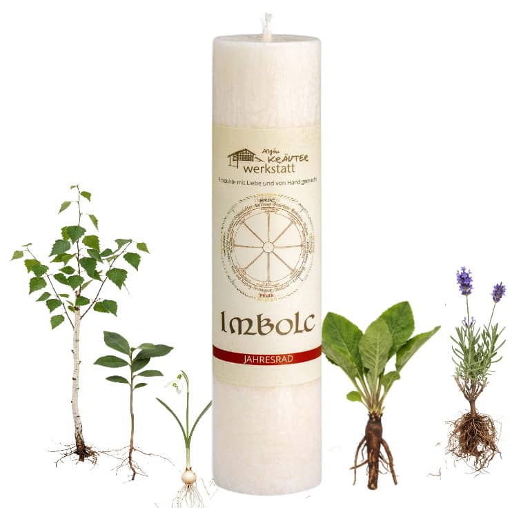 Allgäuer Heilkräuterkerze zum Thema Imbolc in unserem Kerzen Online Shop kaufen. Als Geschenk für Sie oder Ihn. 100% Vegane Kerze. Hergestellt aus Olivenöl.