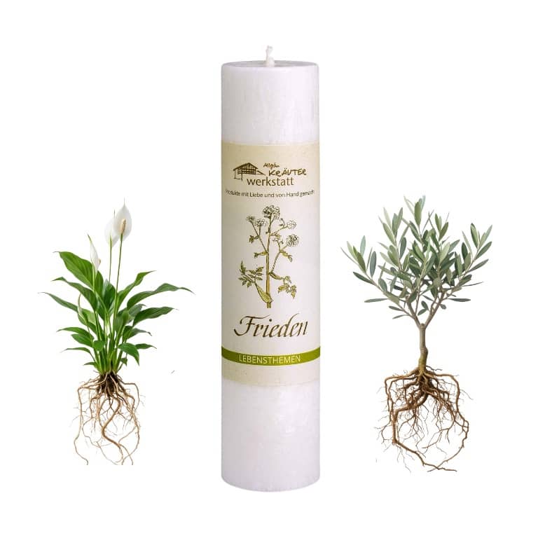 Allgäuer Heilkräuterkerze Frieden in der Farbe weiss