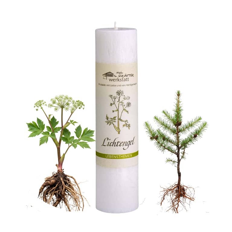 Allgäuer Heilkräuterkerze zum Thema Lichtengel in unserem Kerzen Online Shop kaufen. Als Geschenk für Sie oder Ihn. 100% Vegane Kerze. Hergestellt aus Olivenöl.