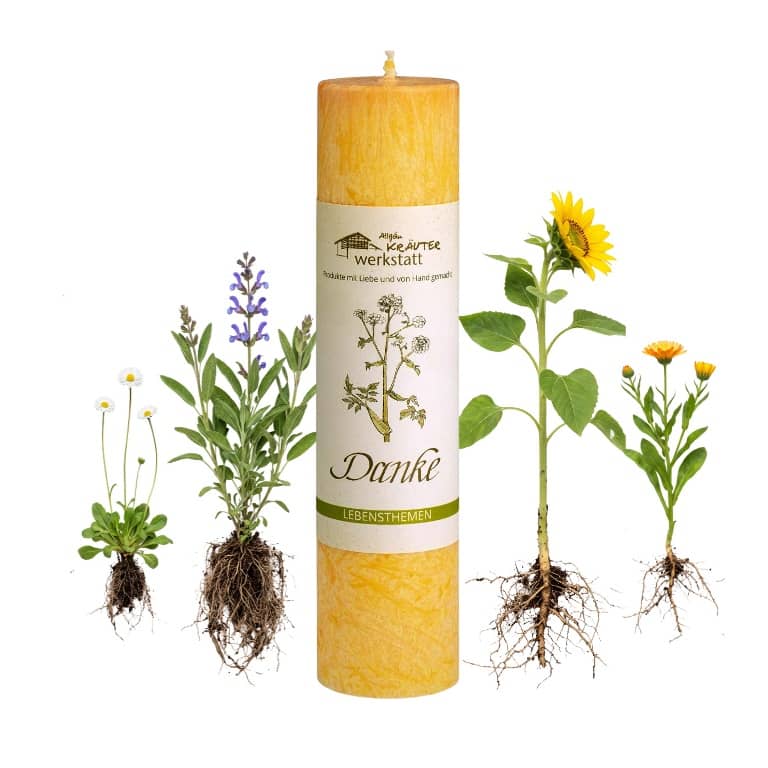 Allgäuer Heilkräuterkerze zum Thema Danke in unserem Kerzen Online Shop kaufen. Als Geschenk für Sie oder Ihn. 100% Vegane Kerze. Hergestellt aus Olivenöl.