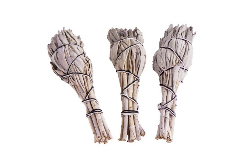 Salbei für Räucherwerk zum Räuchern. Als Geschenk für Sie oder Ihn. Jetzt in unserem Kerzen Onlineshop kaufen.