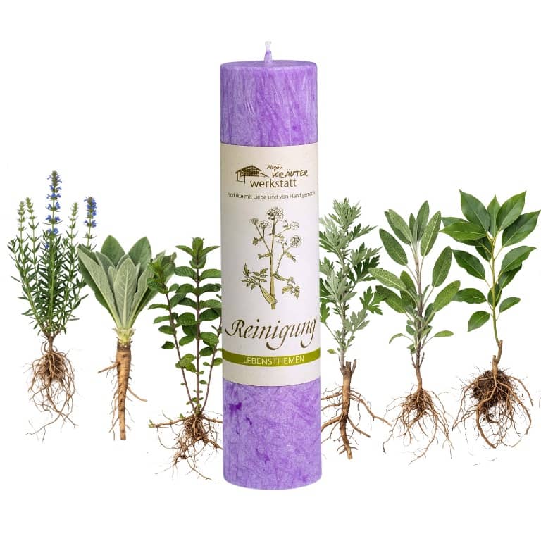 Allgäuer Heilkräuterkerze zum Thema Reinigung in unserem Kerzen Online Shop kaufen. Als Geschenk für Sie oder Ihn. 100% Vegane Kerze. Hergestellt aus Olivenöl.