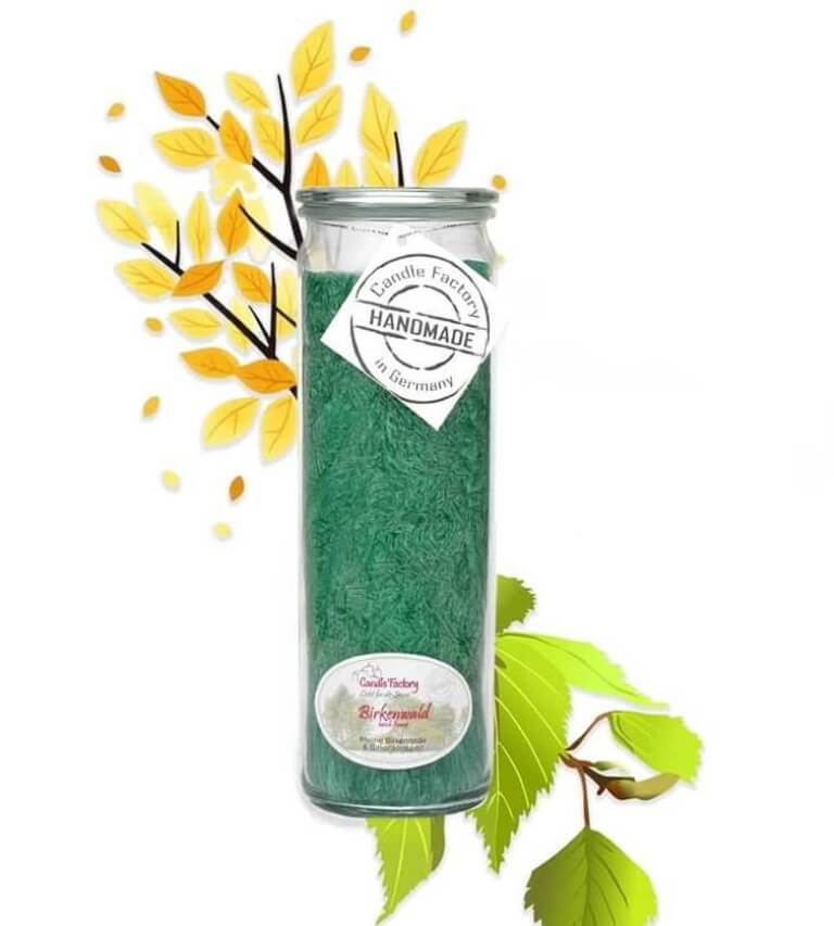 Birkenwald - Big Jumbo Duftkerze im Glas von Candle Factory
