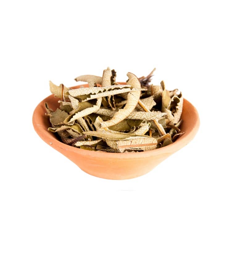 Yerba Santa 10 g Räuchern mit der Natur Räuchern mit Yerba Santa 10 g Räuchern mit der Natur
